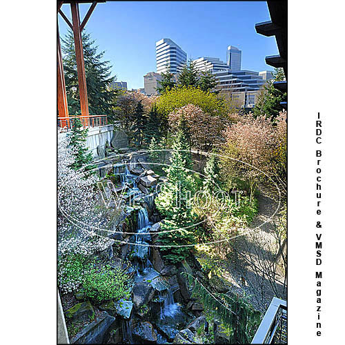 Seattle - Photographers - Advertising