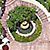 Professional Aerial Images - Olympia
